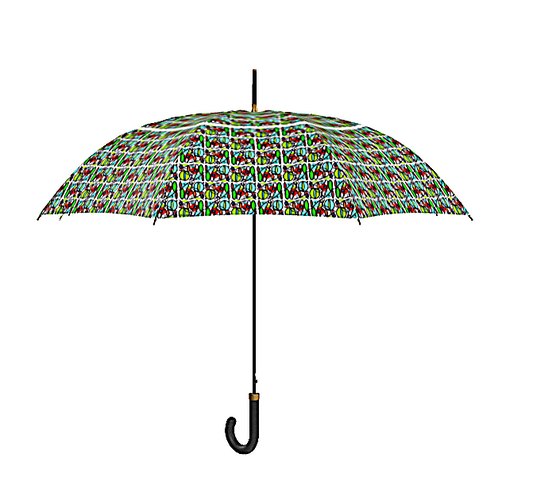 Umbrella with a difference