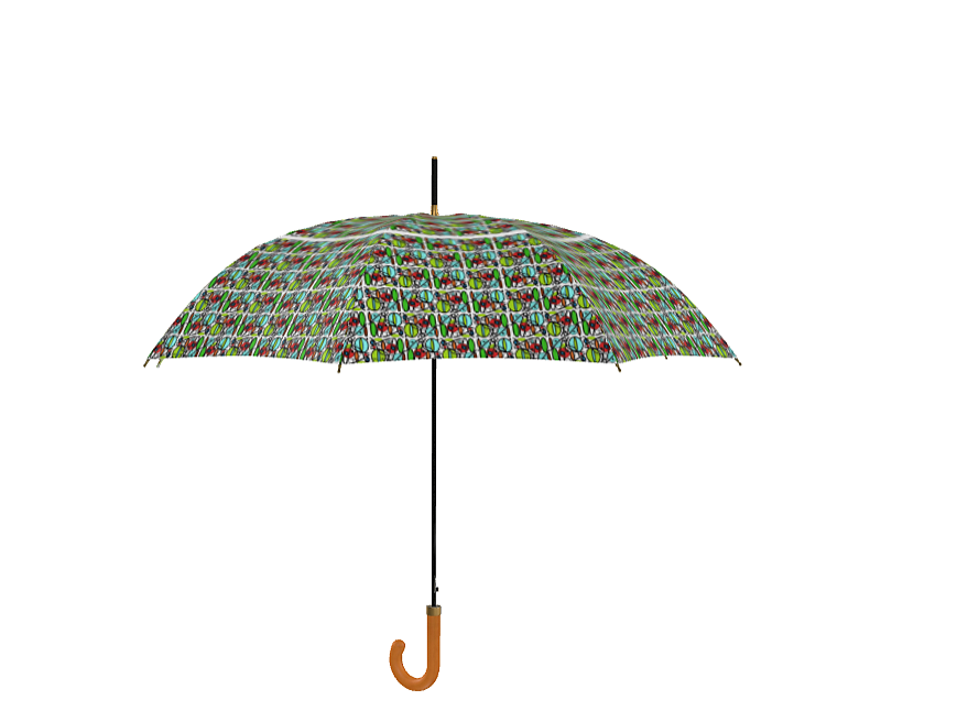 Umbrella with a difference