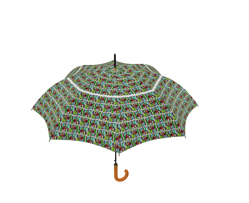 Umbrella with a difference
