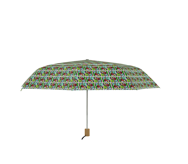 Umbrella with a difference