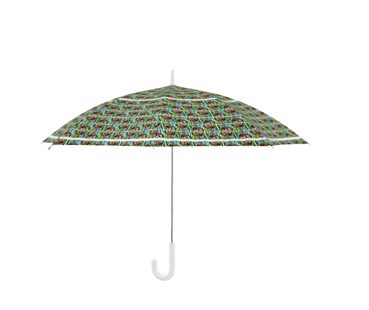 Umbrella with a difference