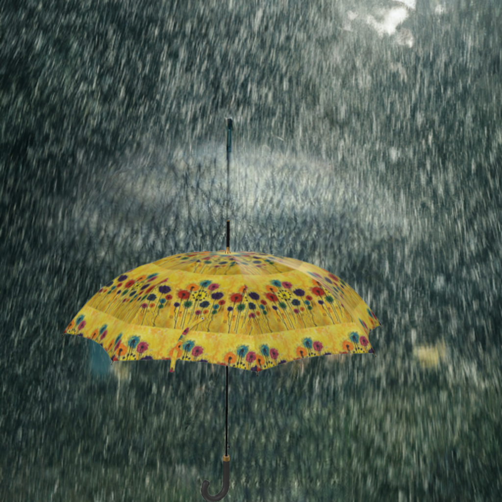 Unique Umbrella
